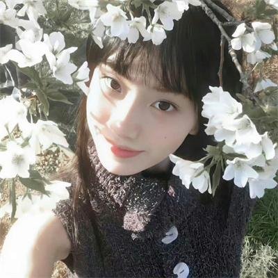 罗莎夫人