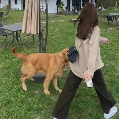 征婚启事